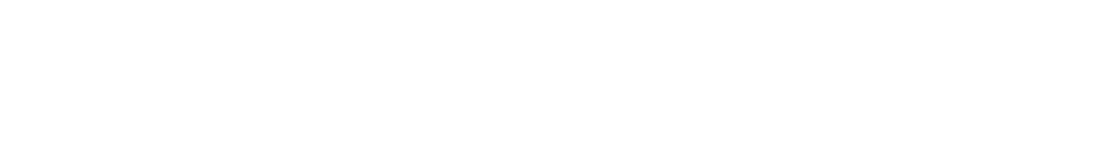 carVertical